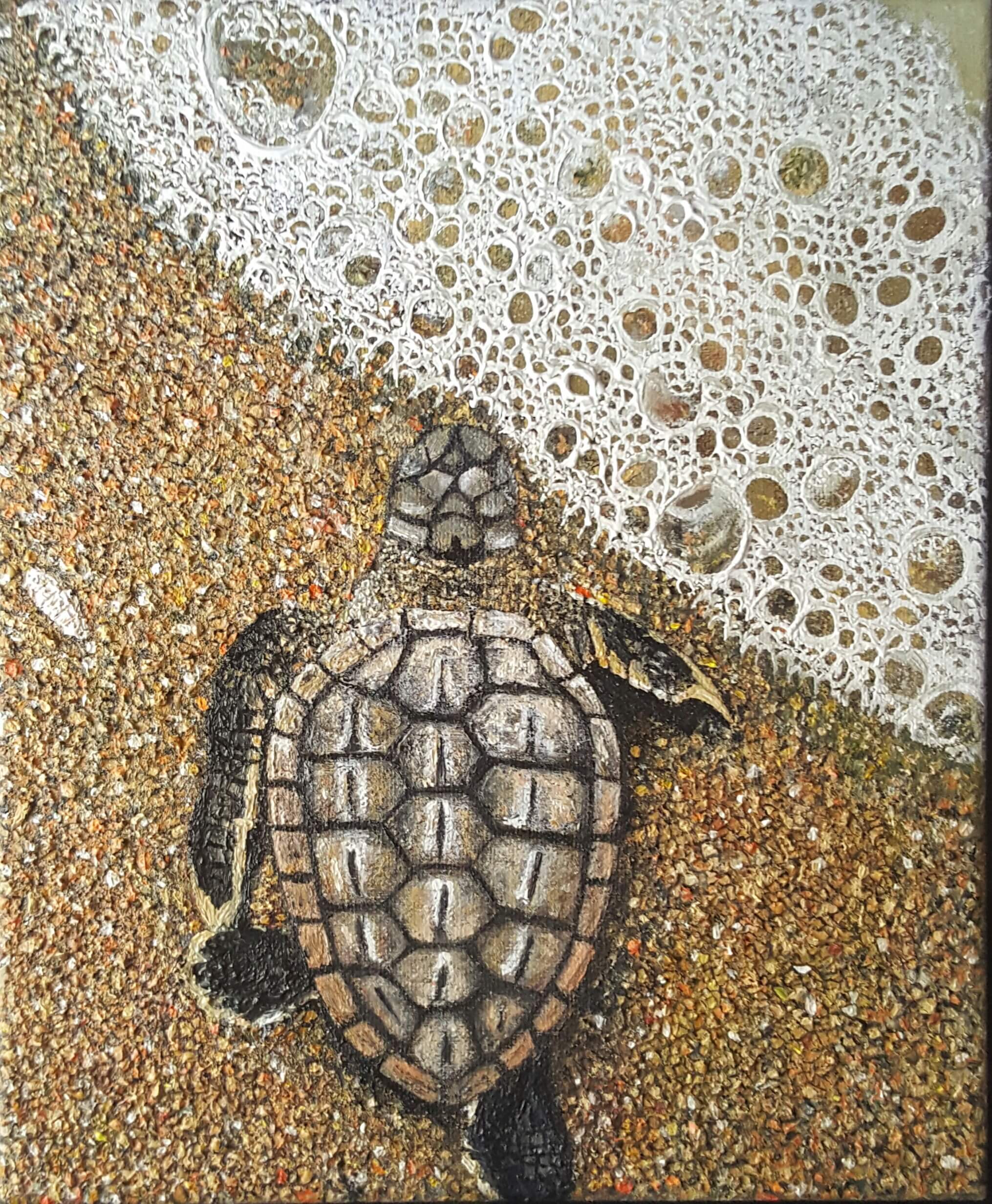 Turtle